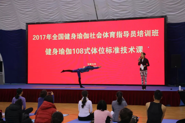 伟德体育欧洲杯图片